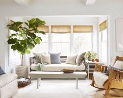Get fully grown, potted plants delivered to your door. 18 Best Indoor Trees Large Indoor Plants For Every Room In Your Home