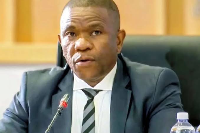 Mkhwanazi tells the Madlanga Commission that Cele disappointed him - SA People