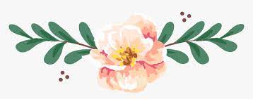 Flower Divider Png Transparent Png Is Free Transparent Png Image To Explore More Similar Hd Image On Pngitem Png Images Png Image