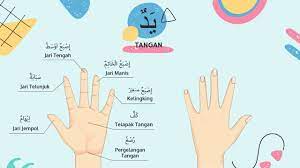 Demikian contoh singkat perkenalan diri dalam bahasa arab. Kosakata Bahasa Arab Tangan Untuk Pemula Bergambar Youtube
