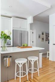 A Ground Floor Apartment Renovation In Sunnyside Queens Kitchen Decor Styles Kitchen Decor Apartment Renovation