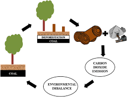 We did not find results for: Microbial Fuel Cell A Green Approach For The Utilization Of Waste For The Generation Of Bioelectricity Bioresources And Bioprocessing Full Text