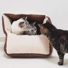 ダイソーの座布団で猫ベッドを作ってみた 今日も猫と 猫 ベッド 手作り 猫 こたつ 猫 ベッド 冬