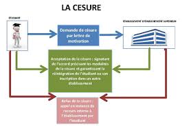 Je me permets de vous adresser ma candidature pour intégrer votre formation master 2 professionnel aude : Procedure Type De Demande De Cesure Ministere De L Enseignement Superieur De La Recherche Et De L Innovation