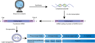 The mrna covid vaccine now being militarily deployed in many nations around the world, is the covid mrna vaccine is an operating system which can program your dna, and therefore program. Mrna Vaccines Possible Tools To Combat Sars Cov 2 Springerlink