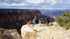 This is usually to protect the environment of the park and ensure visitors' safety. The Most Dog Friendly National Parks In America Gopetfriendly