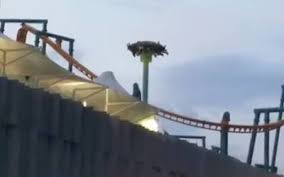 Entra y aprende todo sobre las instalaciones eléctricas. Video De Terror Falla Juego Mecanico En Cdmx Y Deja De Cabeza A Personas El Sol De Mexico Noticias Deportes Gossip Columnas