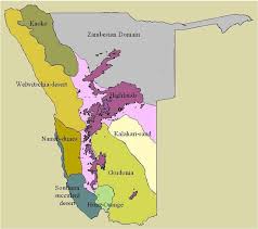 Image result for Petalidium englerianum