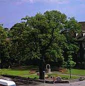 Die lutherstadt wittenberg ist das perfekte ziel für ihren frühlingsurlaub die lutherstadt wittenberg und deren einzigartige natur bei einer sportlichen tour mit rad oder. Lutherstadt Wittenberg Wikipedia