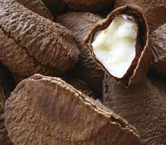 Before knowing how brazil nuts grow, you need to know how they look. Brazil Nuts Pandemic Affect White Lion Food