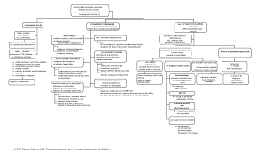 Le syndrome de treacher collins (stc) ou syndrome de franceschetti (sf) est une maladie génique rare. Conduite Diagnostique Devant Une Dysmorphie Pas A Pas En Pediatrie