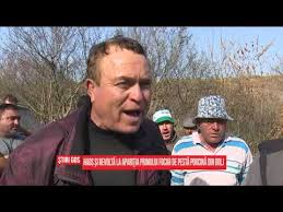 Representantii dsv dolj sunt si ei in alerta si spun ca virusul a fost adus panica a a ajuns si in localitatile invecinate, unde, de frica peste porcine africane, localnicii din macesu de sus, macesu de jos, valea stanciului. Haos Si RevoltÄƒ La ApariÅ£ia Primului Focar De PestÄƒ PorcinÄƒ Din Dolj Youtube