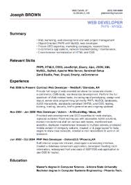Sample Of A Beginner S Cv Giga Cv