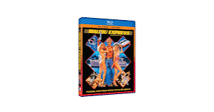 Amazon.com: Malibu Express : Darby Hinton, Sybil Danning, Art Metrano, Andy  Sidaris: Movies & TV
