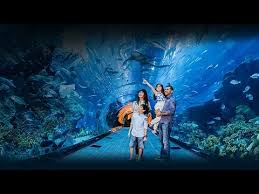 Let us have a look at the top 10 tourist places in. 10 Best Places To Visit In Dubai Youtube