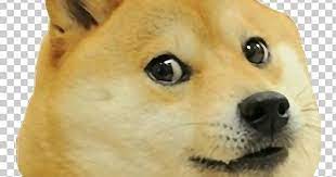 Shiba Inu Dogecoin Png Canaan Dog Carnivoran Companion Dog Dog Dog Breed Shiba Inu Companion Dog Doge Meme