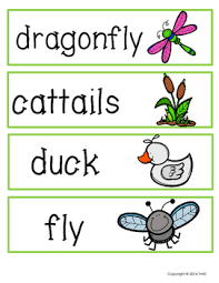 Pond Life Themed Pocket Chart Words And Beginning Sounds Clip Cards