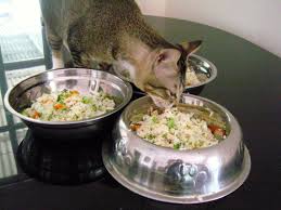 This kidney diet for cats is made from minced chicken meat in jelly to encourage fussy eaters. Diy Healthy Homemade Cat Food Recipes Going Evergreen