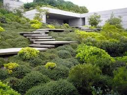 The Rhythm Of The Planting And He Steps Are Beautiful Garden Architecture Landscape Design Modern Landscaping