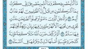 وهل كان أحد ارتد بعد وفاة الرسول ؟ ينبغي لهم أن يَصْرِفَهم ذلِكَ عن دينه ، وما جاء به ، فكلُّ نفسٍ ذائِقةُ الموت ، وما بُعِثَ محمد صَلَّى اللَّهُ عَلَيْهِ وَسَلَّمَ لِيخلَّد ، لا هُوَ بحسب الإمكان ، لا يكون لهم قصد في رئيس دون رئيس ، فبهذه الحال يستتب. Ø³ÙˆØ±Ø© Ø¥Ø¨Ø±Ø§Ù‡ÙŠÙ… Youtube Cute766