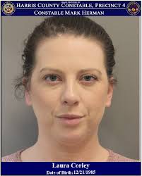 Mark Herman, Harris County Constable Precinct 4