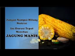 Cara menanam jagung manis bebas penyakit bulai dan untung 20 juta sekali panen. Cara Merebus Jagung Manis Yang Benar