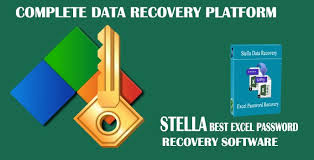 Recover Excel Password From Stella Excel Password Recovery Tool Excel Data Recovery Recovery Tools
