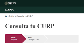 Consulta de curp y rfc gratis,curp,rfc,curp con homoclave,consulta curp Calculo De Curp Curp Gratis