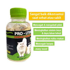 Hal ini dikarenakan daya tahan tubuh anak lebih rendah dibandingkan daya tahan tubuh orang lantas bagaimana cara meningkatkan daya tahan tubuh anak? Jual New Obat Flu Daya Tahan Dan Penambah Nafsu Makan Kucing Pro Lysin Jakarta Pusat I Love My Pets Tokopedia