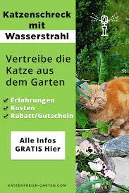 Ich habe das problem, dass die katze von unserem nachbarn in unseren garten uriniert und im sandkasten ihr geschäft verrichtet. Dieser Katzenschreck Mit Wasser Hilft Sofort Schreck Katzen Vertreiben