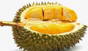 Maybe you would like to learn more about one of these? ÙØ§ÙƒÙ‡Ø© Ø¯ÙˆØ±ÙŠØ§Ù† Ø³Ø¹Ø±