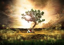 Bildergebnis für tree of life