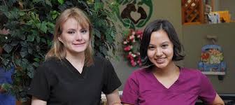 Veterinary Staff Boulder S Natural Animal Hospital Boulder Co 80305