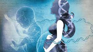 What can be ethical issues raised by creating genetically modified organisms? What Are The Ethical Concerns Of Genome Editing