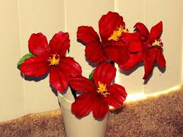 Pin On Flowers