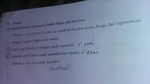 Alat musik melodis, yaitu jenis alat musik yang berfungsi menghasilkan nada atau melodi lagu. Tolong Nomer 1 4 Dan 5tolong Bantu Dikumpulin Sekarang Brainly Co Id