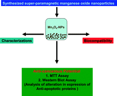 To have more efficient performance, these materials need particles of defined size, while remaining benign to the environment. In Vitro Evaluation Of Anticancer And Biological Activities Of Synthesized Manganese Oxide Nanoparticles Medchemcomm Rsc Publishing