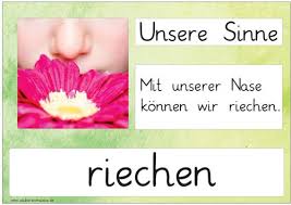 Aushaenge Unsere Sinne Zaubereinmaleins Designblog Das zaubereinmaleins ist keine professionelle verlagsseite! zaubereinmaleins