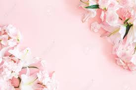 No need to register, buy now! Flowers Composition Pink And White Flowers On Pastel Pink Background Stock Photo Picture And Royalty Free Image Image 125679073
