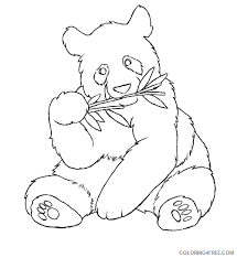Check spelling or type a new query. Panda Coloring Pages Free To Print Coloring4free Coloring4free Com
