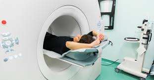 Pet scan, qualified, very experienced, reliable, ultrasound pregnancy detection for dogs and cats, m. Pet Scans A Necessary Evil The Side Out Foundation