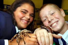 Up close with bugs, spiders and snakes: Sunderland memories from 1997 to  2007