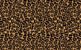 Free Download Beautiful Cheetah Wallpapers Hd Wallpapers 2880x1800 For Your Desktop Mobile Tablet Explore 70 Cheetah Background Pictures Cheetah Background Pictures Pictures Of Cheetah Print Wallpaper Cheetah Wallpaper Why choose the mod version? cheetah background pictures