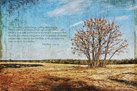 Look At The Birds Of The Air Esv Matthew 13 31 32 Esv The Mustard Seed And The Leaven 31 He Put Another Parable Before Them Saying The Ki Old Fields Kingdom Of Heaven Lilies Of The Field