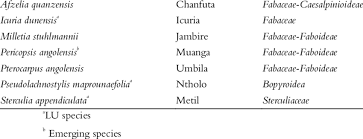 Image result for Icuria