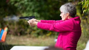 The apprentice instructor ratings for personal protection, home firearm safety, reloading, and muzzleloading domains do not exist. Do It Women On Target Teaches Gun Safety