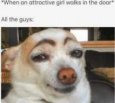 Hey How Are You Doing Memes