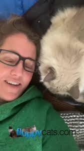 Do you ever lay down