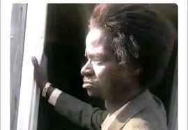 Best modes to learn shotgun skills in game