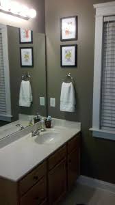Sherwin Williams Paint Warm Stone The Color Is Very Nice But It S Way Too Dark Even For All The Lig Bathroom Colors Painting Bathroom Bathroom Paint Colors